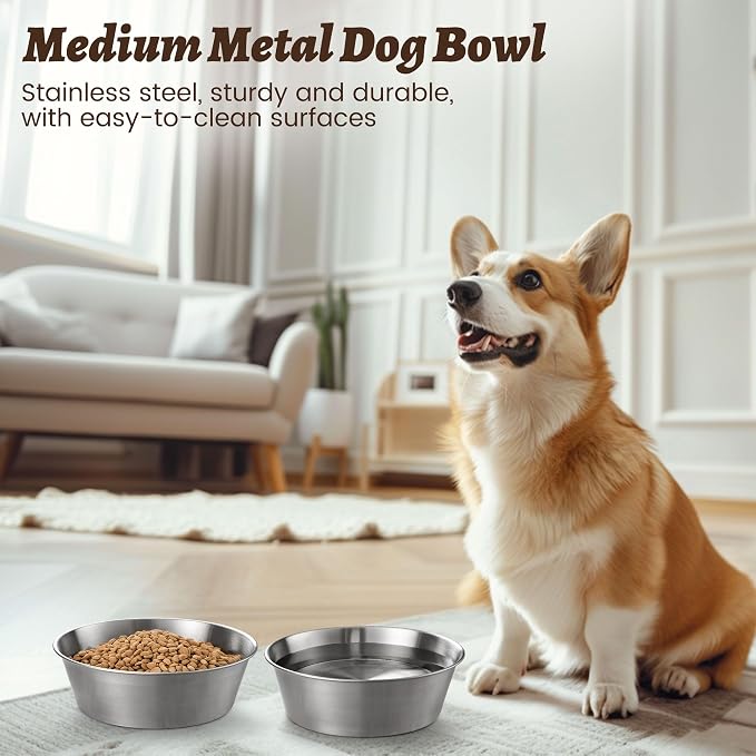 Heavy-Duty Stainless Steel Dog Bowl - Food Grade 304, Rustproof & BPA Free - Easy to Clean, Dishwasher Safe -Medium (48oz, 6 Cups) for Dogs 40-80lbs - Image 4
