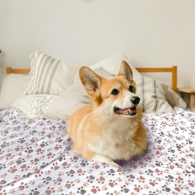 Dog Blankets for Medium Large Dogs Washable, 3 Pack Pet Blanket Washable 41" x 31", Fuzzy Soft Puppy Throw Cover for Kennel Crate Bed - Image 3