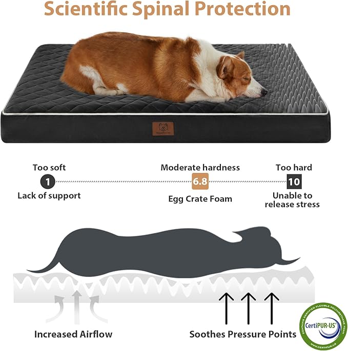 WNPETHOME Orthopedic Waterproof Large Sized Senior Dogs Bed for Comfy Sleep | Washable Ped Bed with Removable Cover, Multi-Needle Quilting Large Dogs Crate Bed for Dog Relax, Black 36x27 Inch - Image 3