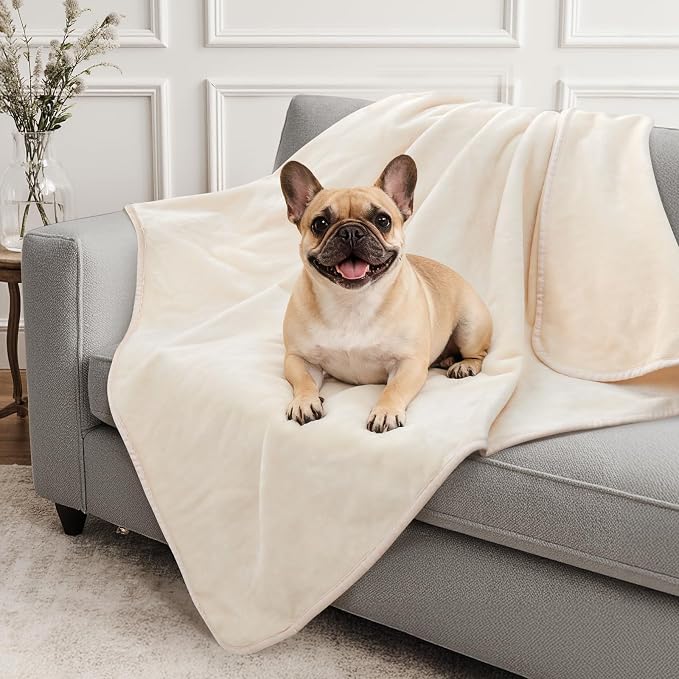 LOOBANI Waterproof Dog Blanket for Small Dogs, Pet Blanket 30" x 40", Beige | Double Side Liquid-Proof, Puppy Blanket for Dog Cat Bed, Crate, Playpen, Reversible Soft Flannel Couch Cover Throw by LOOBANI