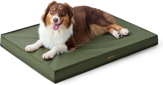LE SURE Outdoor Waterproof Dog Beds Medium Size,Orthopedic Pet Mat,30x20In | Crate Pad for Dogs with Oxford Fabric Surface,Removable Washable Cover,Egg Foam Kennel Pads,Non slip Bottom,Green - Image 7