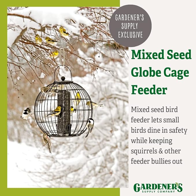 Gardener's Supply Company Globe Cage Bird Feeder | Outdoor Sturdy and Squirrel Proof Hanging Cage | Best for Finches Hummingbirds Nuthatches and Other Small Birds - Holds 3 Cups of Seeds - Image 3