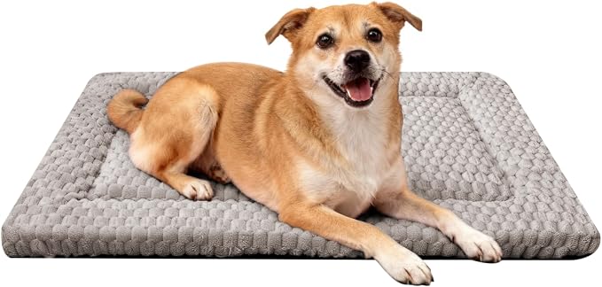 Dog Bed Mat - Dog Crate Pad - Reversible Mat for Pet Comfort - Soft Bed Crate Pads for All Seasons - Durable, Machine Washable Mat for Crates, Travel, and Home (Light Gray, 30" L*20" W*1.5" Th) by FogkissComfyPawsHome