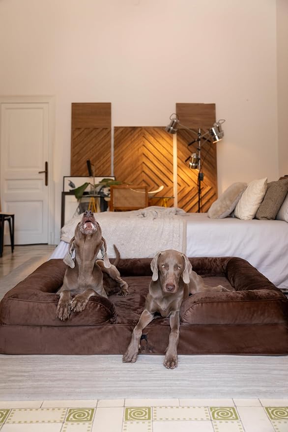 NOAH & PAW Giant Dog Bed XXL, 55x45x11 Inch, Orthopedic Dog Beds, Eggshell Memory Foam Infused with Cooling Gel, Inner Cover, Water Resistant, Machine Washable (Velvet Sofa Collection) - Image 2