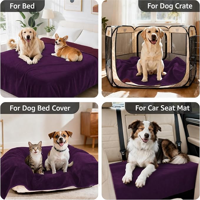 LOOBANI Waterproof Dog Blanket for Small Dogs, Pet Blanket 30" x 40" Purple | Double Side Liquid-Proof, Puppy Blanket for Dog Cat Bed, Crate, Playpen, Reversible Soft Flannel Couch Cover Throw - Image 4