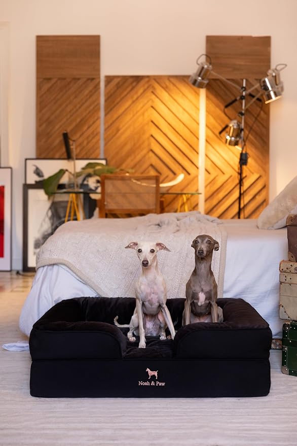NOAH & PAW Large Dog Bed, 35x25x11 Inch, Orthopedic Dog Beds, Eggshell Memory Foam Infused with Cooling Gel, Inner Cover, Water Resistant, Machine Washable (Denim Sofa Collection) - Image 2