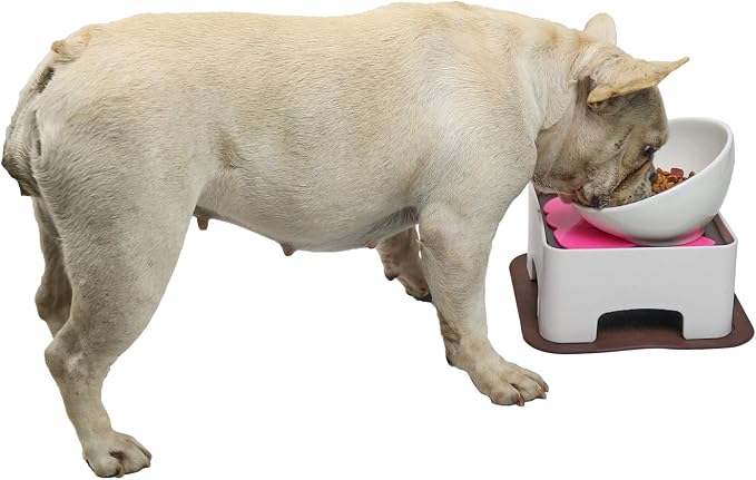 Raised Ceramic Dog Feeding Bowl,Adjustable Elevated Dog Bowls Set Anti-Slip,Standing Pet Feeding Dish for Small Medium Dogs and Cats,White by WZPET