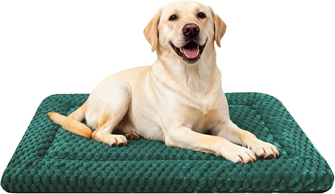 Dog Bed Mat - Dog Crate Pad - Reversible Mat for Pet Comfort - Soft Bed Crate Pads for All Seasons - Durable, Machine Washable Mat for Crates, Travel, and Home (Dark Green, 35" L*23" W*1.5" Th) by FogkissComfyPawsHome