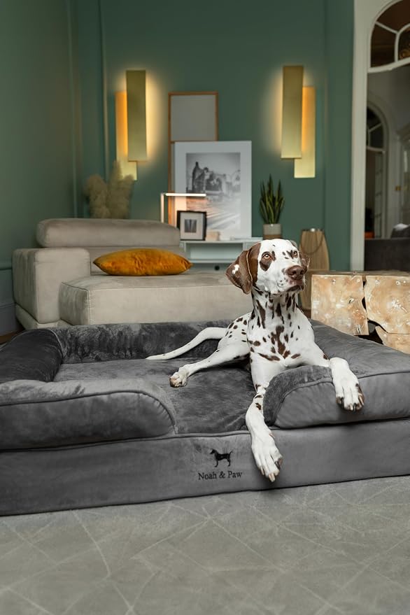 NOAH & PAW XL Dog Bed, 45x35x11 Inch, Orthopedic Large Dog Beds, Eggshell Memory Foam Infused with Cooling Gel, Inner Cover, Water Resistant, Machine Washable (Velvet Sofa Collection) - Image 2