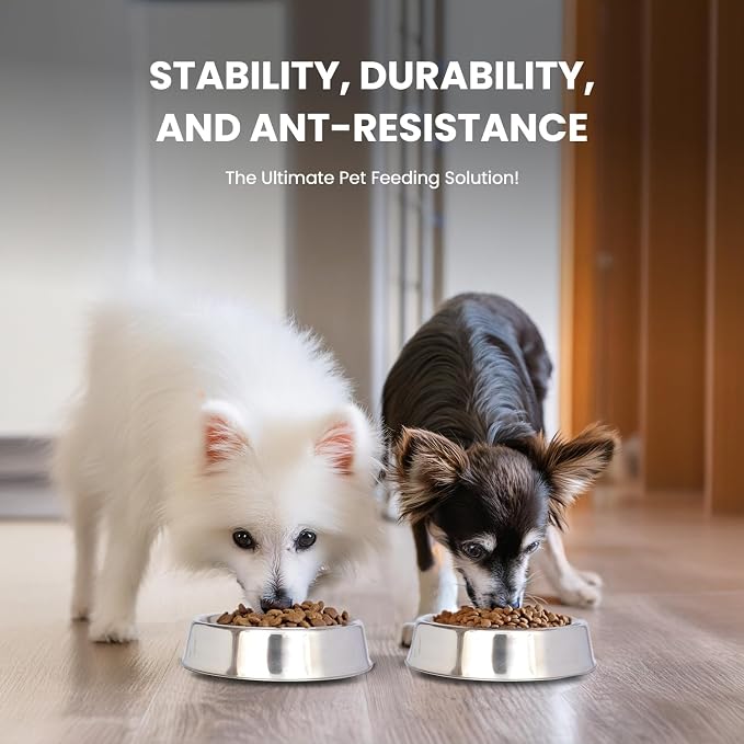 Iconic Pet 2 Pack of 1 Cup Stainless Steel Non Skid Pet Bowls for Dog or Cat with Raised Rim Dishwasher Safe Pet Food and Water Bowls - 8 Oz - Image 3