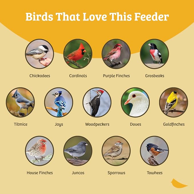 Birds Choice 21-1/2X21-1/2 Seed Catcher Open Platform | Pole Mount Tray Catches Fallen Seed to Reduce Ground Waste, Recycled Plastic Construction - Image 7