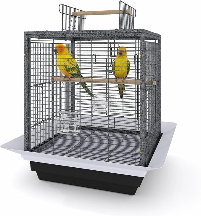 Garvee Small Bird Cage with Playground Stand, 20 Inch High Travel Bird Cage for Parrot, Parrot Carrier for Parakeet, Cockatiels, Budgies Medium Small Sized Birds by Garvee