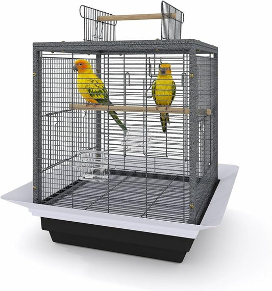 GarveeLife Small Bird Cage, 20 Inch Bird Cage, Parakeet Cage with Tray and Handle for Parrot Cockatiels Budgies Finch Lovebirds Pigeons, Black by GarveeLife