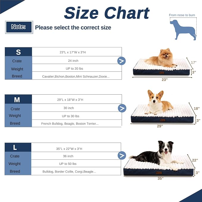 Orthopedic Dog Bed for Small Dogs,Firm Egg Crate Foam,Non-Slip Bottom,Blue | Soft Plush Surface,Removable Machine Washable Cover,Ideal for Crates & Small Spaces,Designed for Joint Support,23"x17"x3" - Image 6