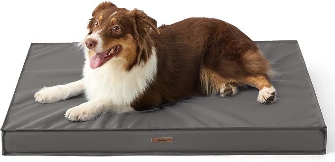 LE SURE Outdoor Waterproof Dog Beds Medium Size,Orthopedic Pet Mat,30x20In | Crate Pad for Dogs with Oxford Fabric Surface,Removable Washable Cover,Egg Foam Kennel Pads,Non slip Bottom,Grey by Lesure