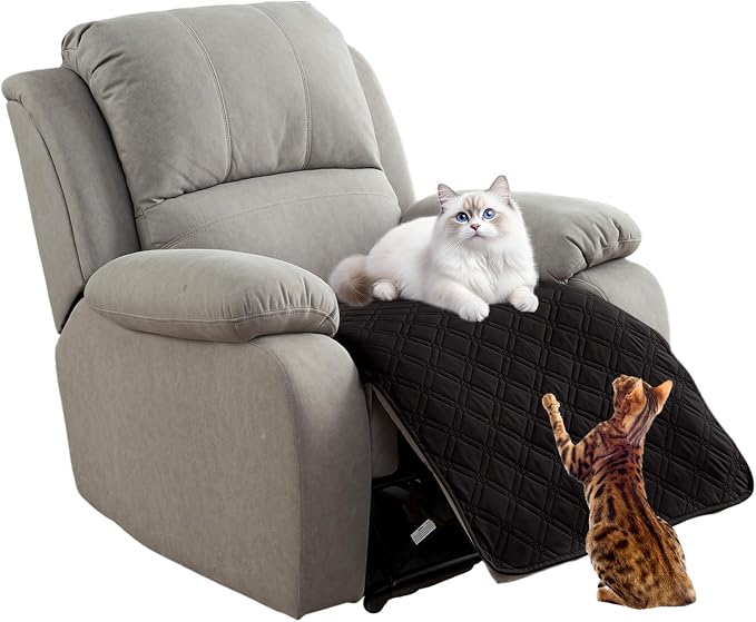 Genina Waterproof Recliner Chair Covers, Recliner Cover for Dog Pets Friendly, Washable Antislip Reclining Chair Cover Furniture Protector, Sofa Slipcover for Living Room(23.6inch/Black) by Genina