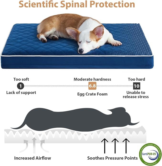WNPETHOME Orthopedic Waterproof XL Dog Bed for Crate Cozy Sleep | Extra Large Washable Dogs Bed with Removable Cover, Multi-Needle Quilting Dogs XL Crate Bed for Relax , Blue 41x27 Inch - Image 3