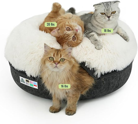 CATTASAURUS Peekaboo Cat Cave for Multiple & Large Cats Up to 30-45 Lbs, Fluffy Cat Beds for Indoor Cats, Scratch Detachable & Washable Tunnel Bed, Comfy Donut Cave (Dark Gray, Large (Calming)) by Cattasaurus