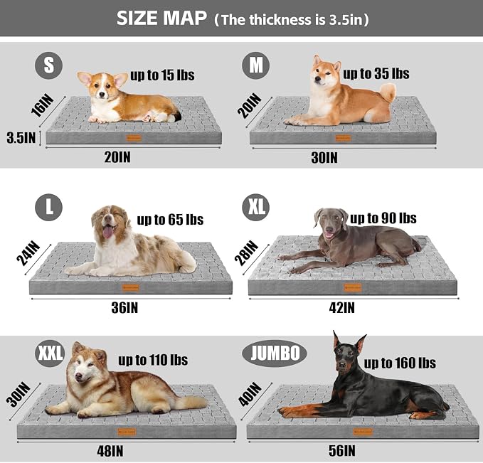 Patas Lague Orthopedic Large Dog Bed Washable Pet Crate Mat 36''X24'' Grey | Egg-Crate Foam Dog Couch For Large Sized Dogs, Waterproof Removable Cover, Soft Pet Bed With Nonskid Bottom - Image 5