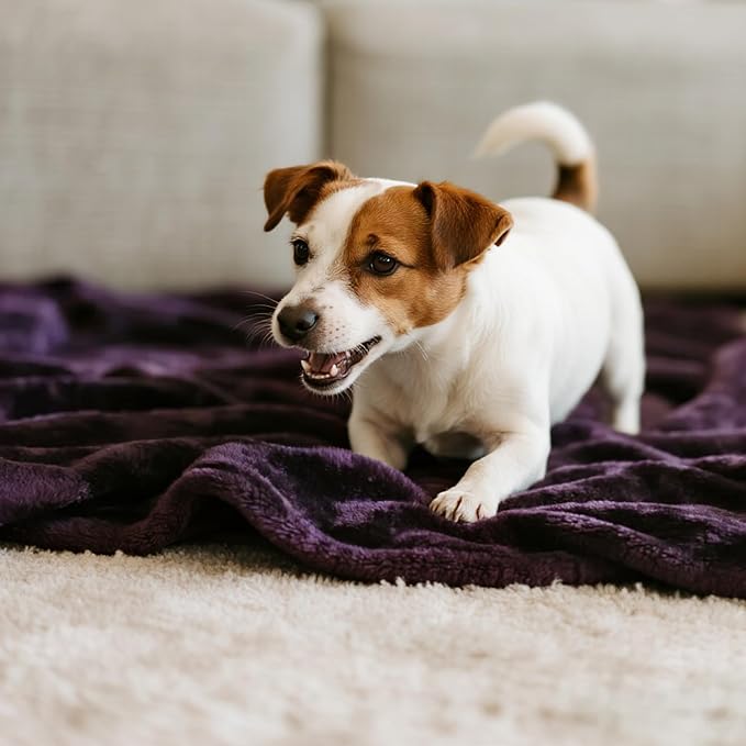 gogobunny Waterproof Bed Blanket, Reversible Sherpa Fleece Throw Blanket for Dog Puppy Cat, Furniture Cover Protects Bed Couch Sofa from Liquid Pee and Pet Fur (Dark Purple, 50x60 inches) - Image 7
