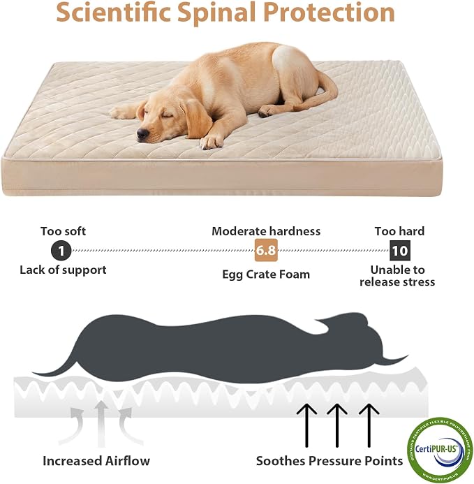 WNPETHOME Orthopedic Waterproof Large Sized Senior Dogs Bed for Comfy Sleep | Washable Ped Bed with Removable Cover, Multi-Needle Quilting Large Dogs Crate Bed for Dog Relax, Beige 36x27 Inch - Image 3