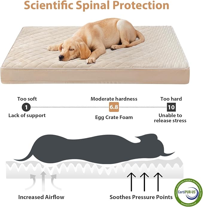 WNPETHOME Orthopedic Waterproof Extra Large Senior Dogs Bed for Comfy Sleep | XL Washable Ped Bed with Removable Cover, Multi-Needle Quilting XL Crate Bed for Large Sized Dog Relax, Beige 42x30 Inch - Image 3
