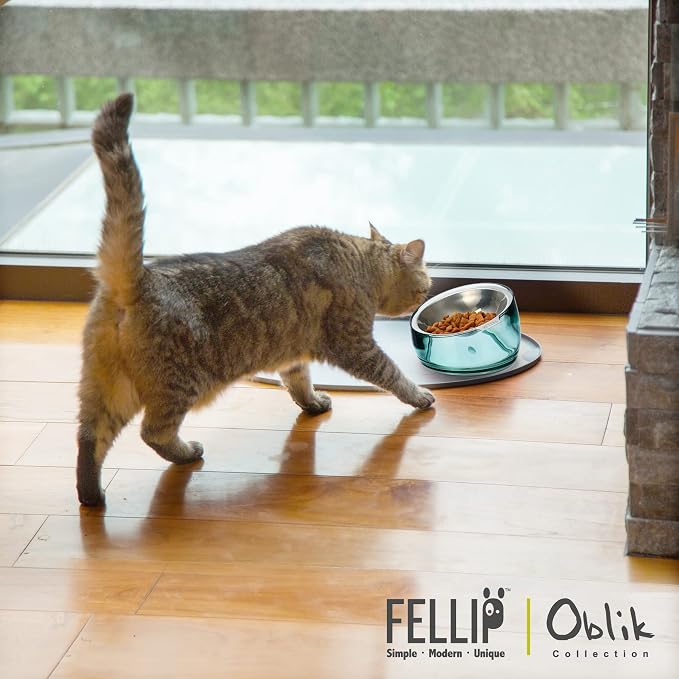Felli Oblik Elevated Cat Bowl Removable Stainless Steel Wide Dish for Dry Wet Food Feeding & Dishwasher Clean, Slanted Whisker Fatigue Friendly Metal Plate (Classic, 0.5 Cups Shallow Dish) - Image 9