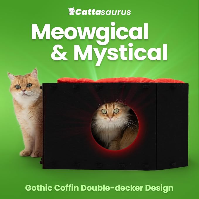 Cattasaurus Holiday Portable Cat House, Foldable Cat Beds for Indoor Cats, Enclosed Peekaboo Cave for Multiple Cats up to 26 lbs, Scratch Resistant Bunk Beds for Halloween, Christmas (Gothic Coffin) - Image 4