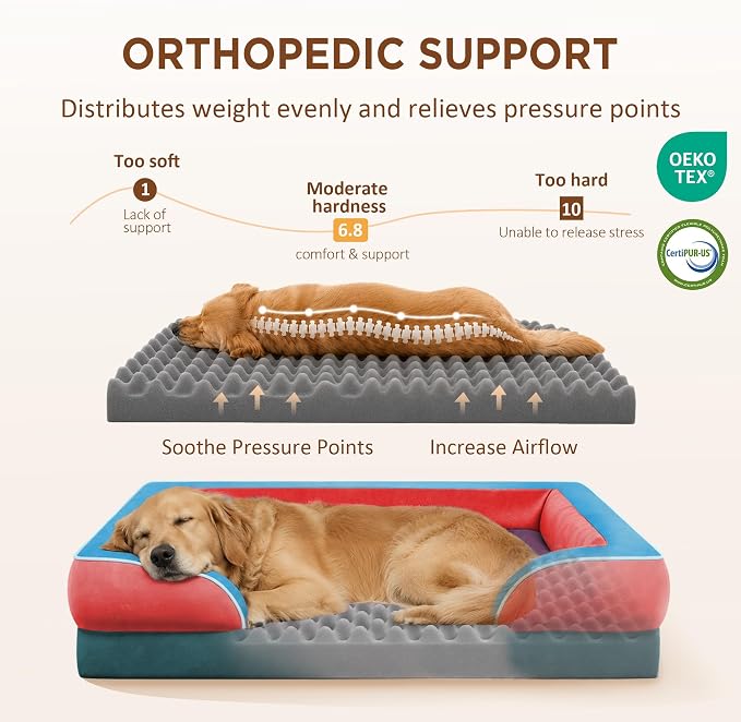 Comfort Expression Orthopedic Dog Beds for Large Sized Dog with Bolster | Waterproof Dog Couch Bed with Washable Cover & Non-Slip Bottom, Supportive Egg Crate Foam Large Pet Bed, 36x27 Inch - Image 2