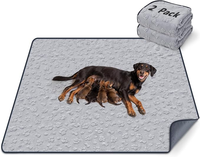 LOOBANI 2 Pack Extra Large Washable Pee Pads for Dogs 54"x54", Gray | Non-Slip Reusable Dog Mat, Super Absorbent & Waterproof Whelping Pads For Floor, Bed, Incontinence, Housebreak, Leak-Proof by LOOBANI