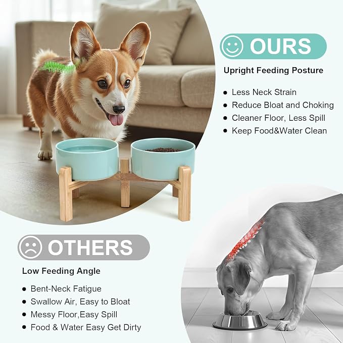 SPUNKYJUNKY Elevated Dog Bowls Ceramic, 6.1'' Dogs and Cat Food Water Bowls Raised with Non-Slip Bamboo Stand for Medium Sized Breed Microwave Dishwasher Safe - 28.7 OZ,Light Green - Image 3