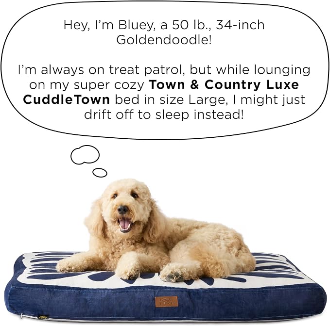 Town & Country Luxe CuddleTown Matisse Everwash® Pillow Pet Bed, Water Repellent Floor Pillow, Machine Washable Cover, Soft & Calming, Navy Blue, Large 44"x34"x4" - Image 10