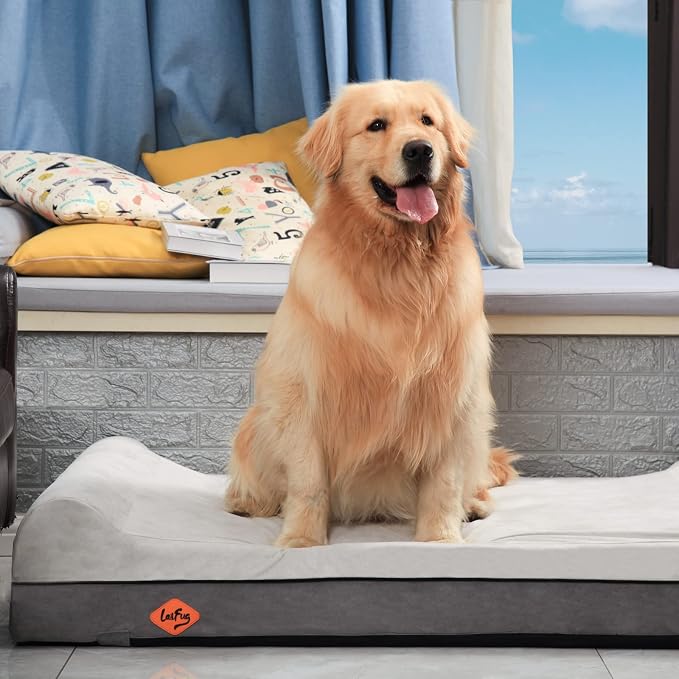 Laifug Orthopedic Dog Beds for Large Dogs,7" Memory Foam Dog Beds,Durable Water Proof Liner Removable and Washable, Nonskid Bottom, Dark Grey 50"x36"x10" - Image 3