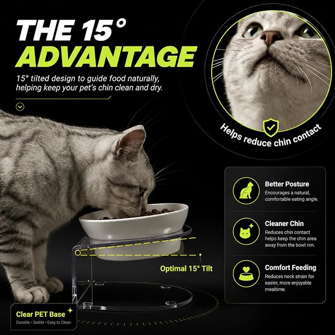 LivLab Mker Elevated Cat Food Bowl, Tilted Water Bowl,Anti Vomiting and Protect Pets' Spines Raised Melamine Pet Dishes for Small Dogs, Flat-Faced Cats & Kittens, White, 2 Pack - Image 4