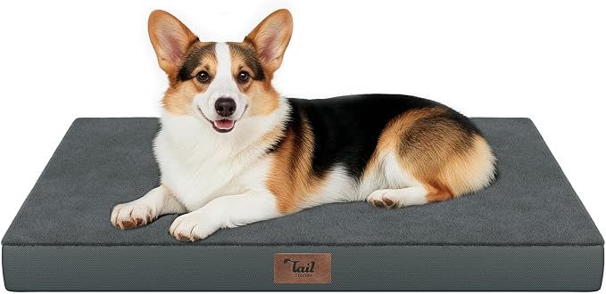 Outdoor Waterproof Orthopedic Dog Bed for Large Dogs | Egg Crate Foam for Joint Support, TPU Waterproof Layer, Machine Washable 1680D Oxford Cover, 36 x 27 Inch, Up to 65 lbs by TailStories