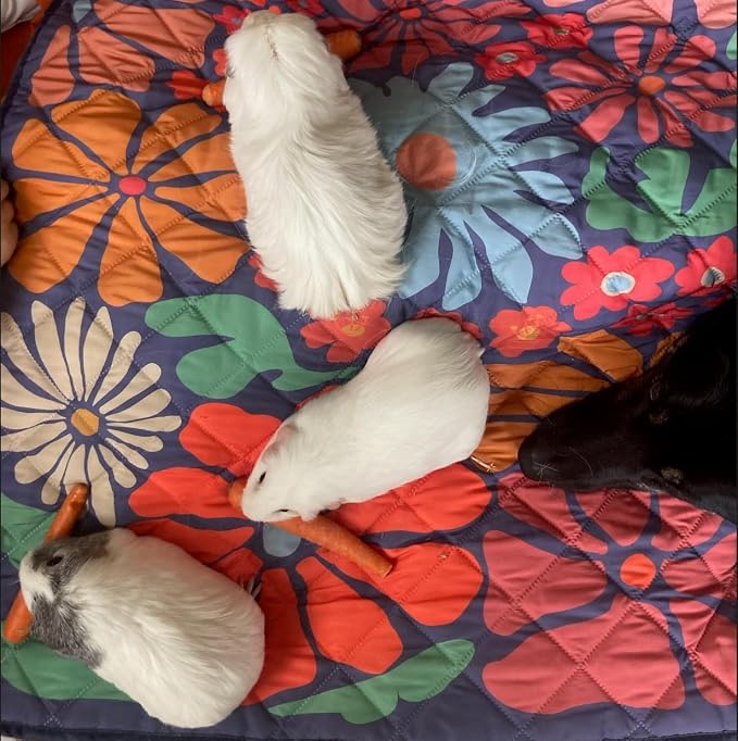 Waterproof Blanket, 29" x 34” - Seat Cover for Dogs and Pets. Ideal for Small and Medium Pet Crate Blankets, Settle mat, Diaper Changing and Playmat for Babies - Image 4