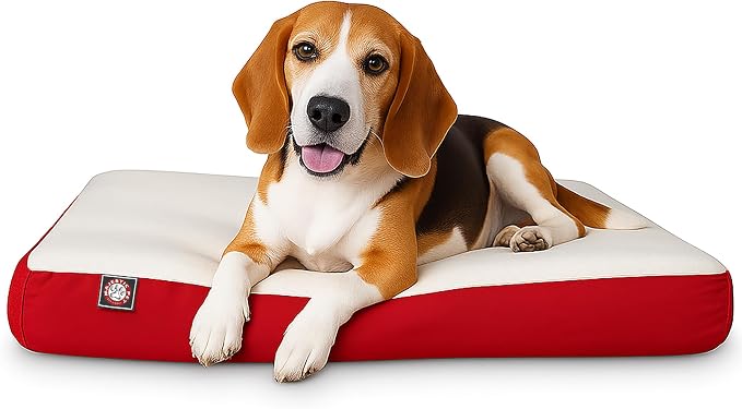 Majestic Pet 34x24x3 Inch Red Orthopedic Memory Foam Rectangle Dog Bed – Medium Size Crate Dog Bed for Dogs with Joint Pain, Arthritis – Durable Pet Mattress with Egg Crate Foam, Washable Cover by MajesticPet