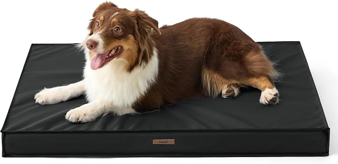 LE SURE Outdoor Waterproof Dog Beds Medium Size,Orthopedic Pet Mat,30x20In | Crate Pad for Dogs with Oxford Fabric Surface,Removable Washable Cover,Egg Foam Kennel Pads,Non slip Bottom,Black by Lesure