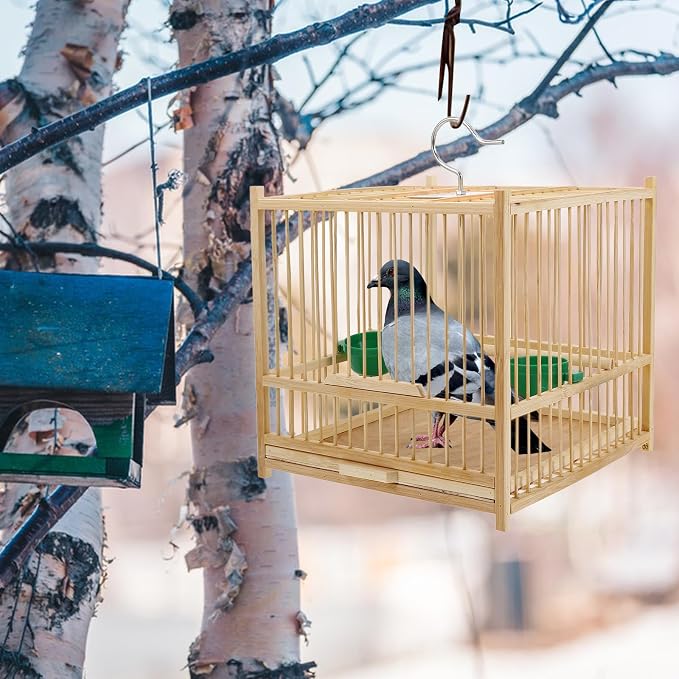 Kisangel Bamboo Bird Cage Small Parrot Cage with Hanging Hook Indoor Outdoor Bird Keeping 9.84X7.87X9.84 Inches for Budgies Lovebirds Cockatiels - Image 8