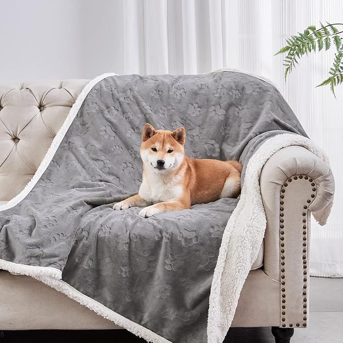 Qeils Dog Blankets for Small Dogs - Waterproof Cat Blanket Washable - Sherpa Fleece Puppy Blanket, Soft Plush Reversible Throw Protector for Bed Couch Car Sofa, 40"X50", Grey by Qeils