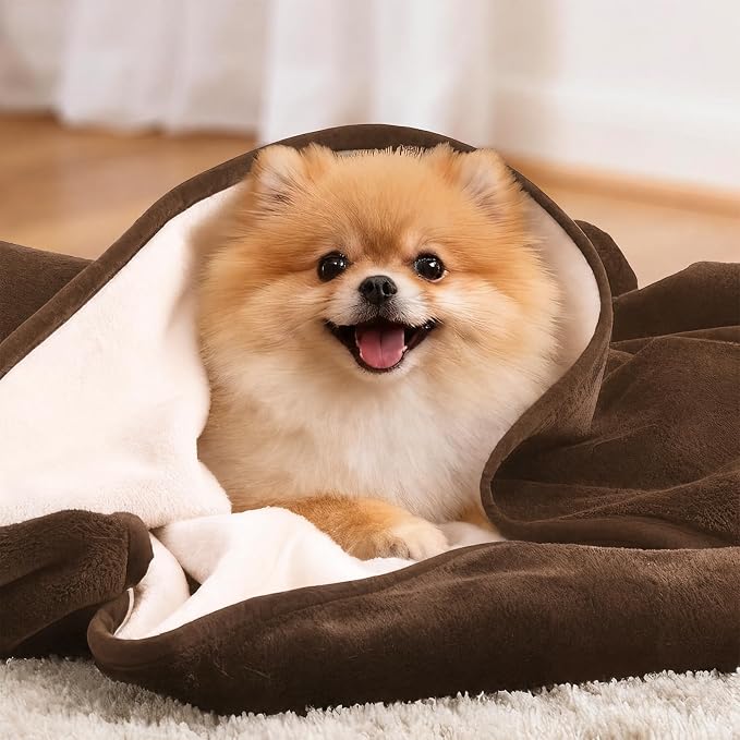 LOOBANI Waterproof Puppy Blanket for Dog Crate, 30"x40", Coffee | Ideal for Small Medium Dogs Cats Bed, Double-Side Flannel Reversible, Liquid Pee Proof Stain-Proof for Furniture Protection - Image 5