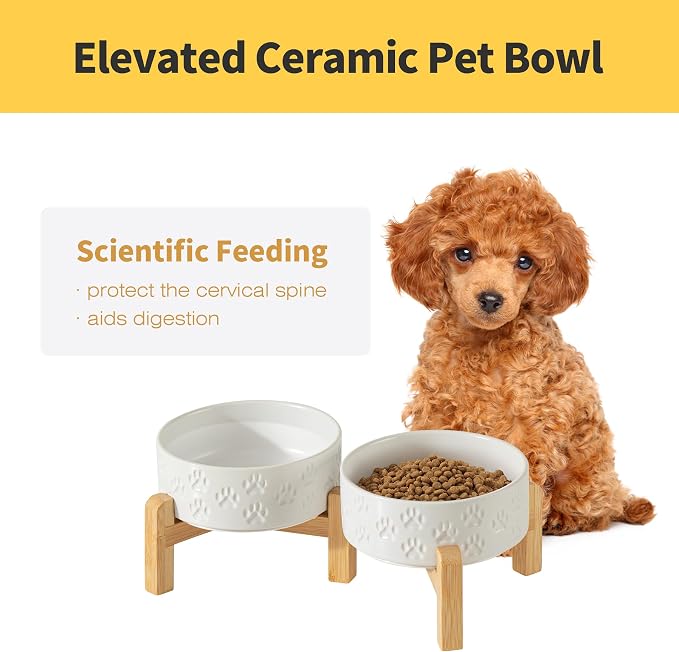 Elevated Ceramic Dog Bowl Set, Anti-Skid Bamboo Stand, White, 5.1 inch | Food and Water Bowls with Fixed Non-Slip Rubber Ring, Microwave Safe, Easy to Clean, 1.6 Cup per Bowl, for Small-Breed Puppy - Image 2