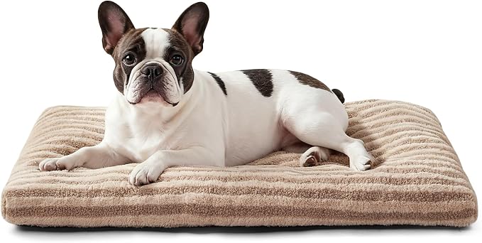 FURTIME Washable Small Dog Bed, Deluxe Dog Crate Beds | Comfy Fluffy Kennel Pad Anti-Slip Pet Sleeping Mat for Puppy/Cat, Machine Washable Dogs Pillow, 23"x18"x3", Brown by FURTIME