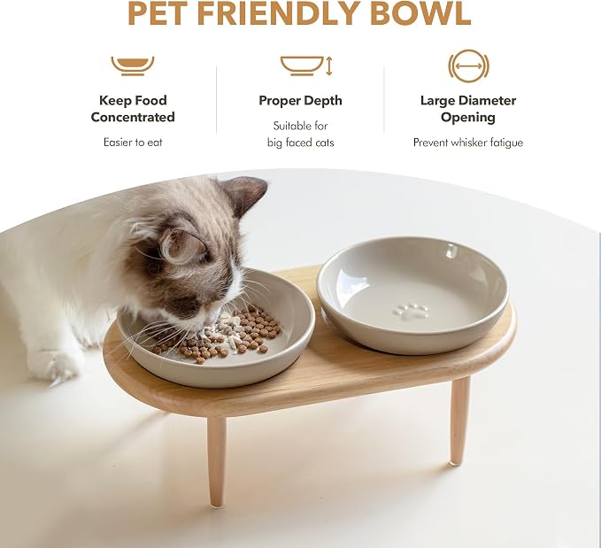 Havniva Elevated Cat Bowls, Raised Ceramic Cat Bowl with Stand, Two Heights | Cat Food & Water Bowl Set, Whisker Friendly, 6” Raised Cat Dishes, Shallow Cat Plates, Non-slip Wood Stand, Kitten Food Bowl - Image 4