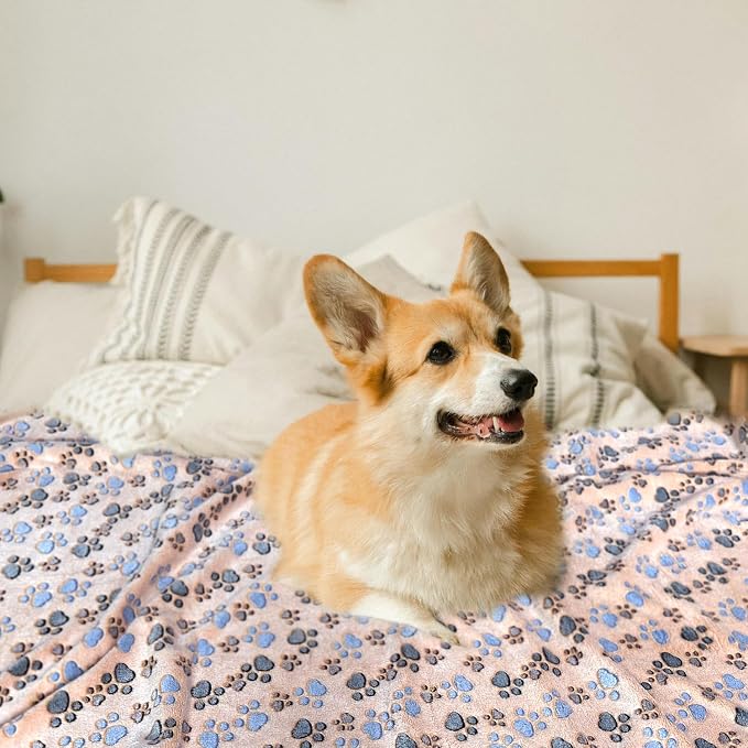 Dog Blankets for Medium Large Dogs Washable, 3 Pack Pet Blanket Washable 41" x 31", Fuzzy Soft Puppy Blanket Throw Cover for Kennel Crate Bed, Blanket for Dogs, Pet Blankets for Dog - Image 6