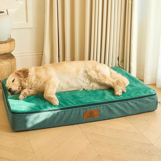 LIORCE Orthopedic Memory Foam XXL Dog Bed - 6" Thick Beds for Extra Large Sized Dog - Waterproof Removable Washable Cover & Wrap-Around Zipper - Ultimate Comfort & Easy Maintenance, Green by LIORCE