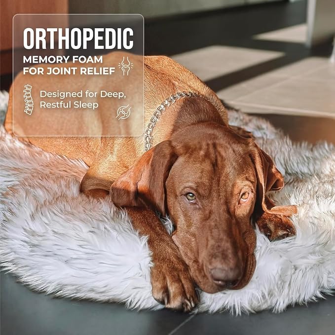 Faux Fur Orthopedic Dog Bed, Memory Foam, White w/Brown Tips 50"x30" | Plush Washable Dog Rug with Waterproof Machine Washable Cover, Calming for Anxious Senior Dogs, Relieves Joints - Image 5