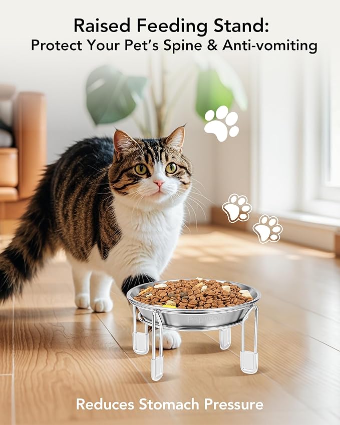 Elevated cat Bowl 4PC, 6.3" Wide Raised Cat Bowl | Stainless Steel Cat Food and Water Dishes, Small Dog Bowl, Whisker Friendly, Anti-Vomiting, Neck Stress-Free Bowl Stands - Image 2