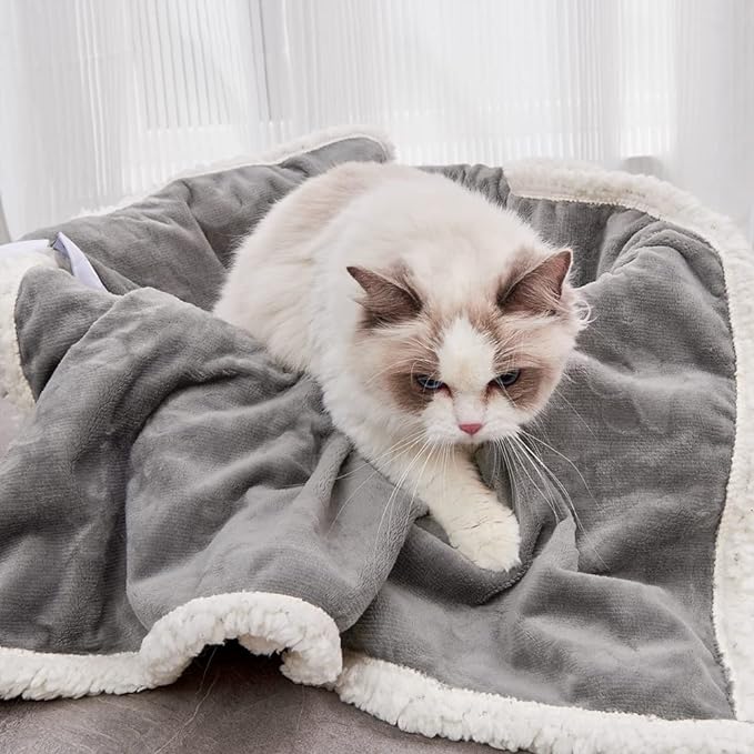 Qeils 1 Pack 6 Dog Blankets for Small Dogs - 6 pcs Waterproof Dog Blanket Washable - Soft Sherpa Fleece Puppy Blanket for Kitten Doggy, Warm Cat Blankets for Indoor Cats, 16"X23", Grey - Image 2