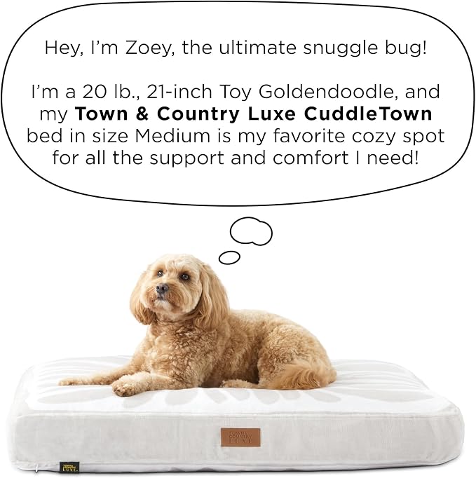 Town & Country Luxe CuddleTown Matisse Everwash® Pillow Pet Bed, Water Repellent Floor Pillow, Machine Washable Cover, Soft & Calming, Navy Blue, Medium 36"x28"x4" - Image 9
